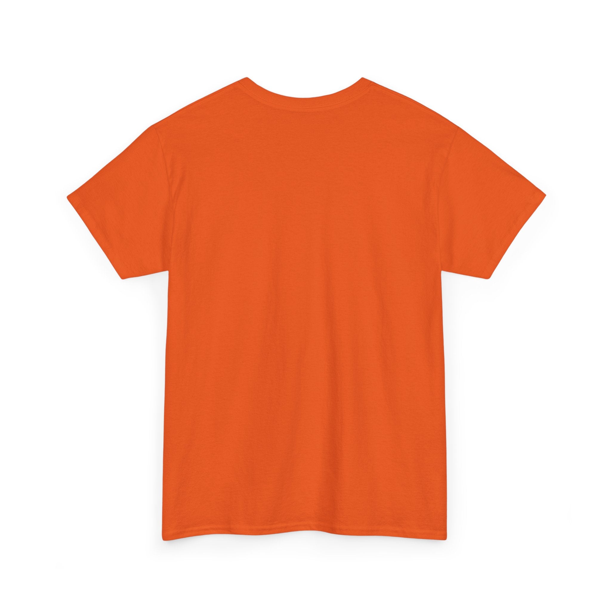 sleeping dragon tee