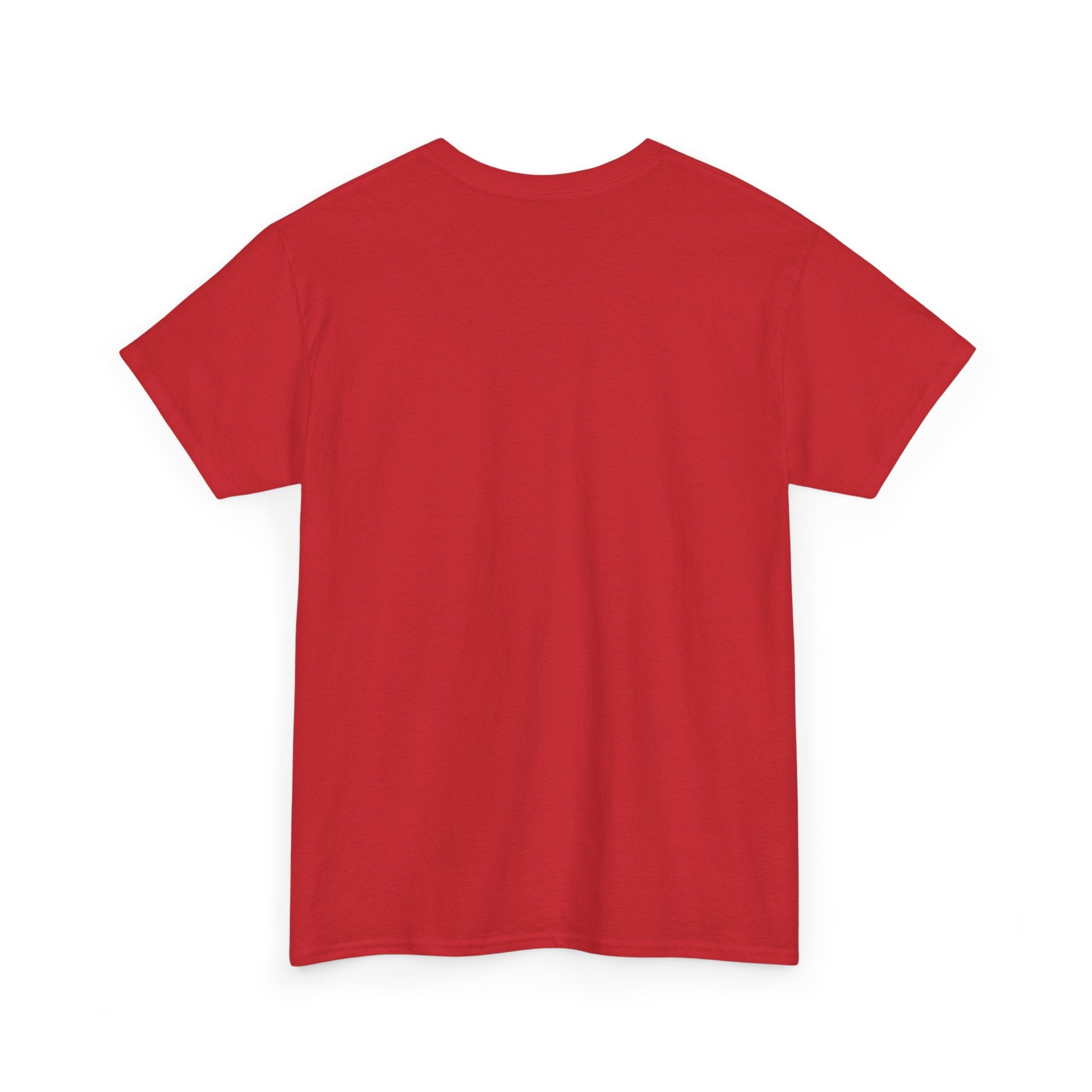 sleeping dragon tee