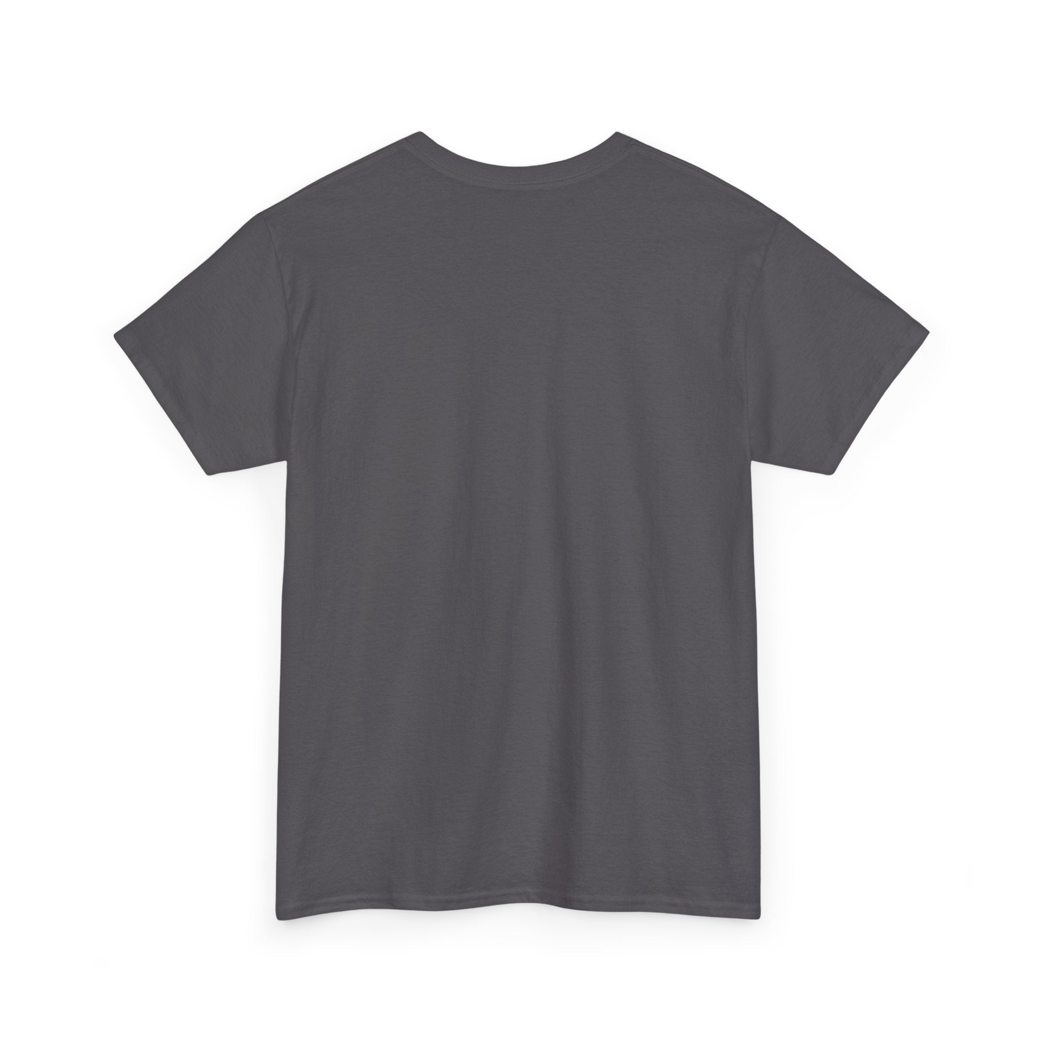 sleeping dragon tee