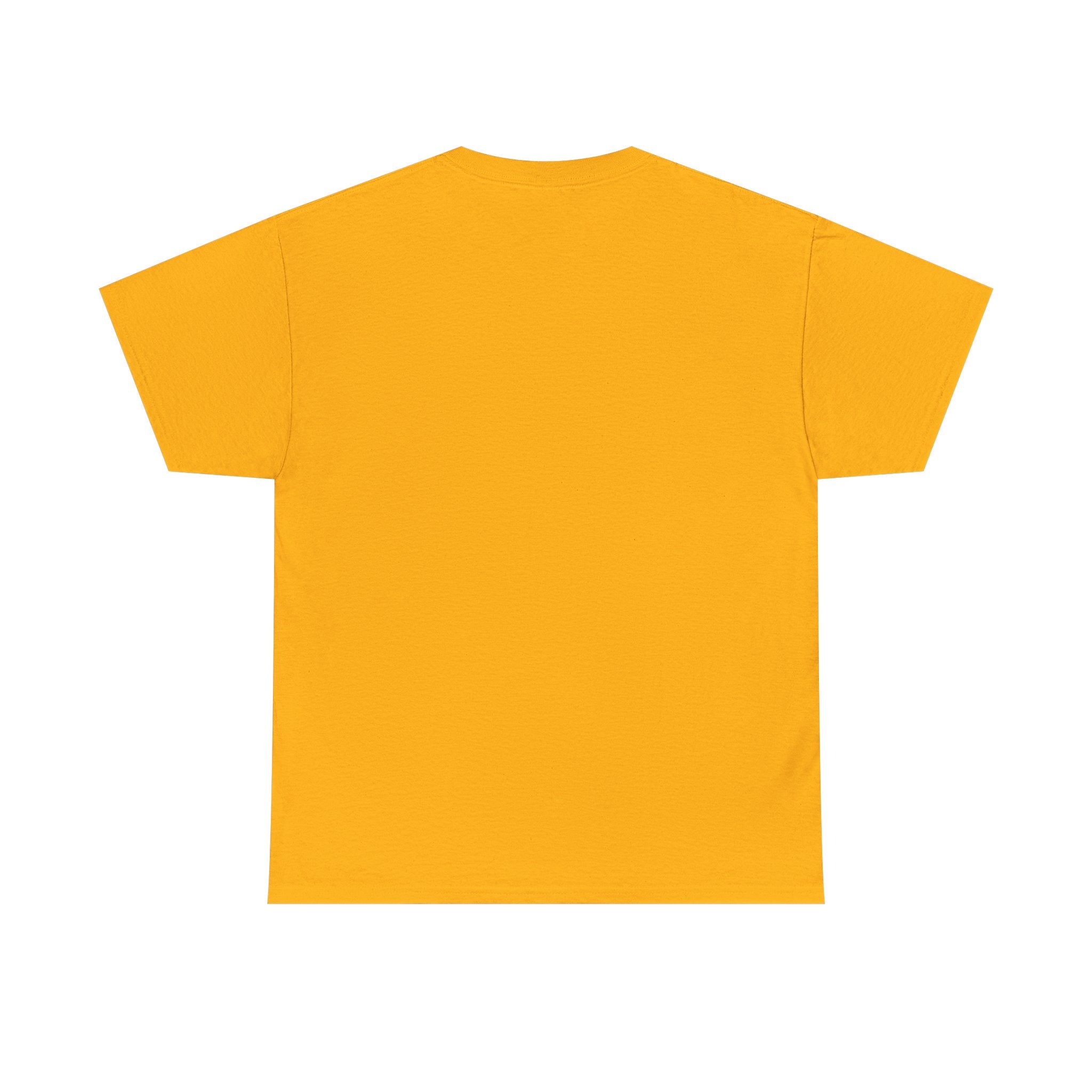 sleeping dragon tee