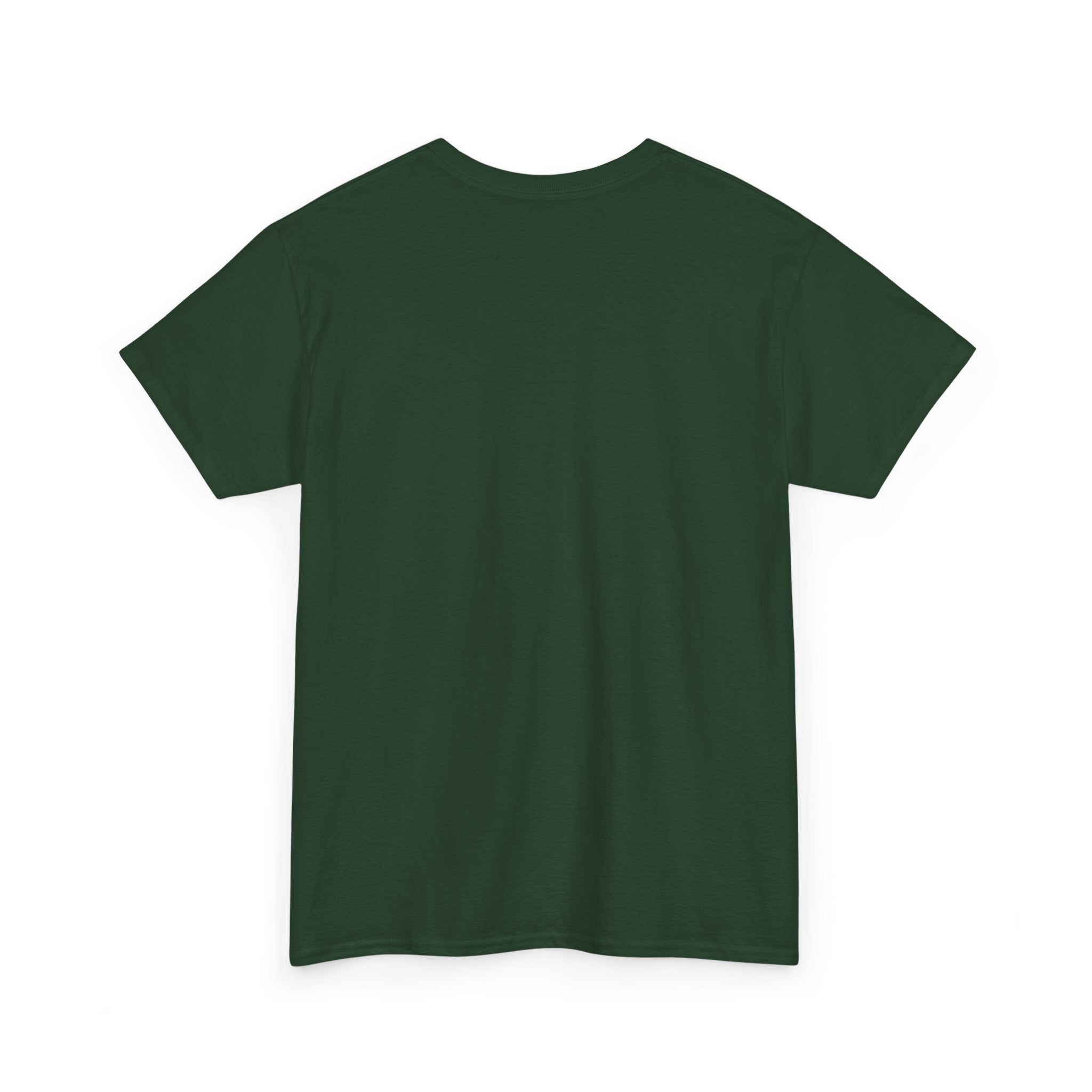 sleeping dragon tee